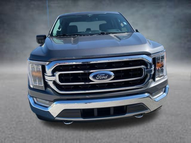 used 2021 Ford F-150 car, priced at $39,894