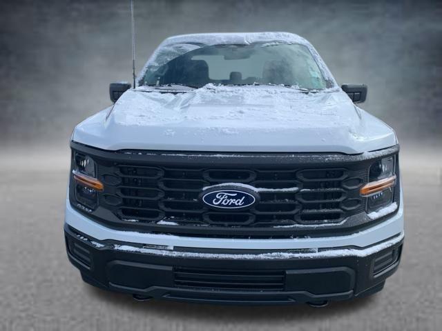 new 2025 Ford F-150 car, priced at $49,115