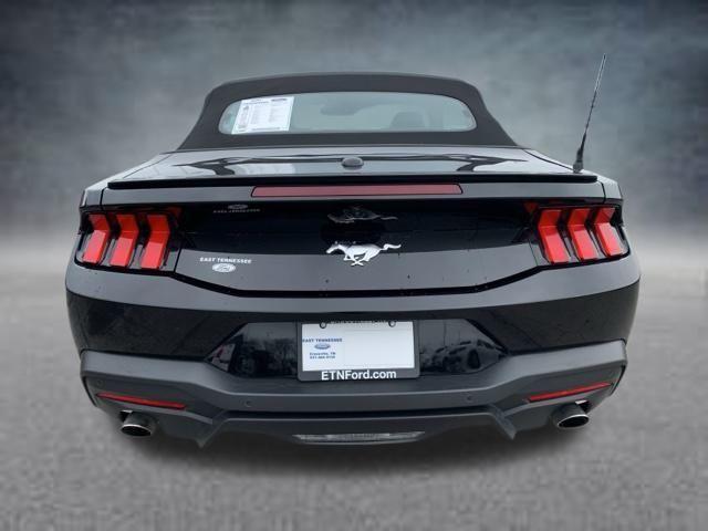 used 2024 Ford Mustang car, priced at $34,794