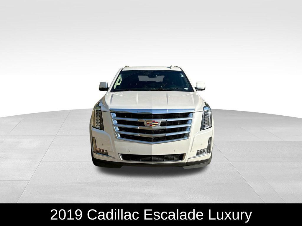 used 2019 Cadillac Escalade car, priced at $30,220
