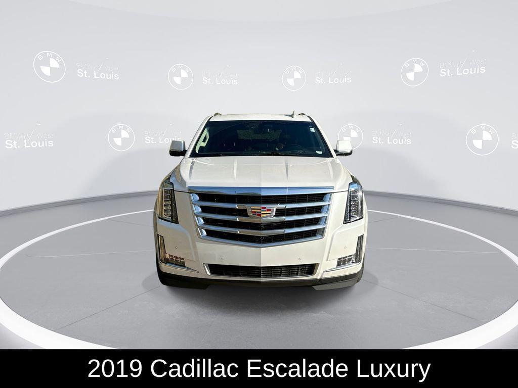 used 2019 Cadillac Escalade car, priced at $31,876