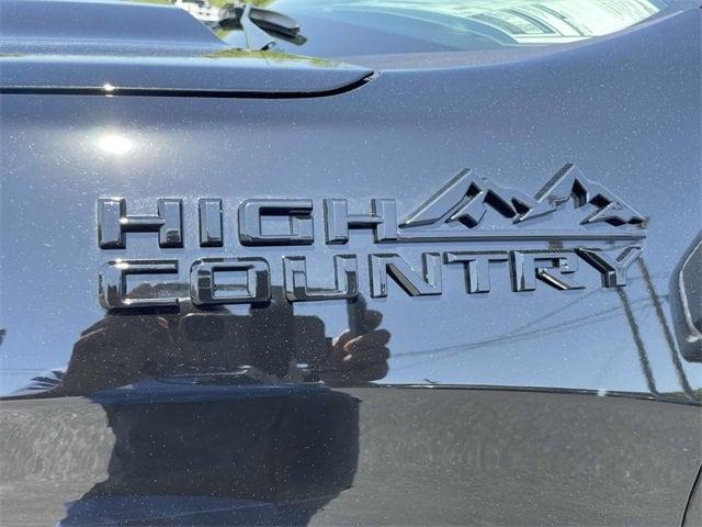 new 2025 Chevrolet Silverado 1500 car, priced at $66,181