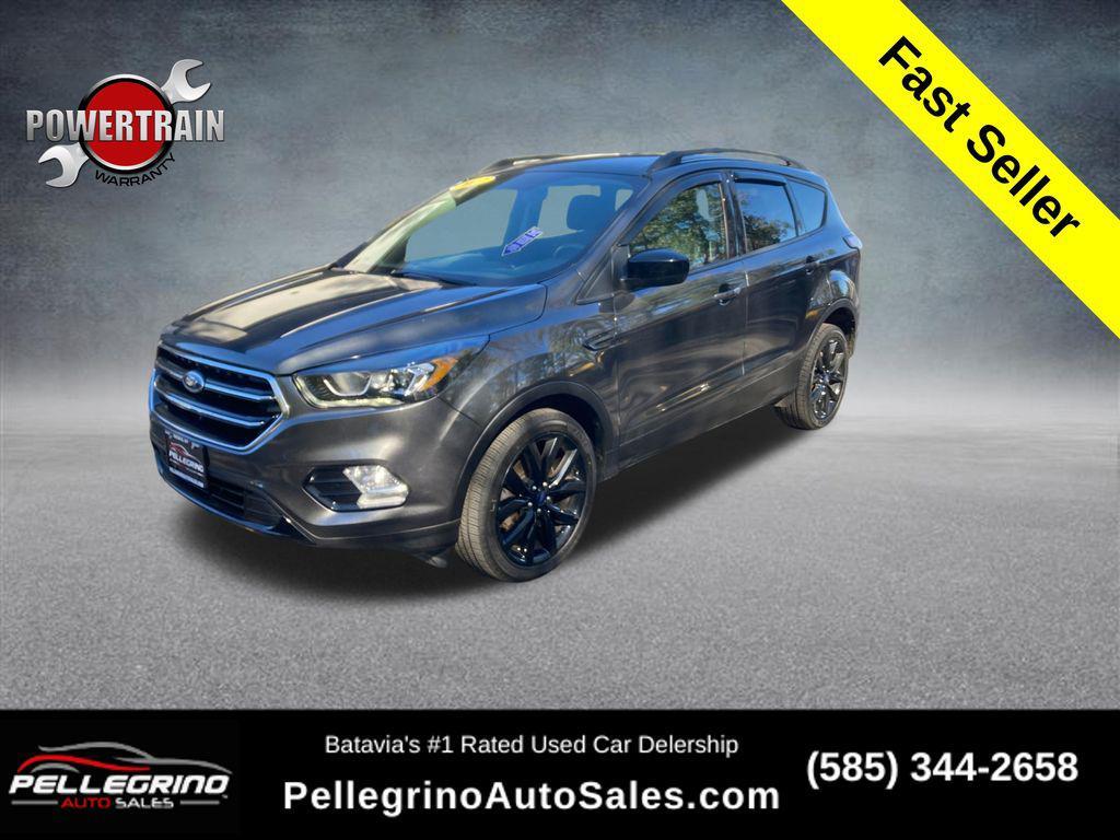 used 2017 Ford Escape car, priced at $14,000