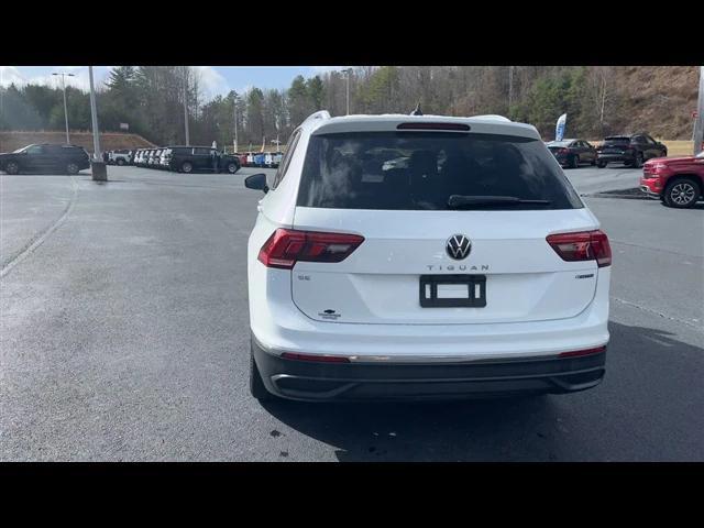 used 2024 Volkswagen Tiguan car