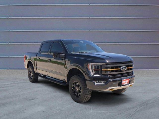 used 2023 Ford F-150 car, priced at $60,000