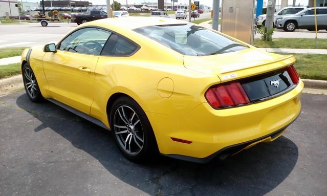 used 2016 Ford Mustang car