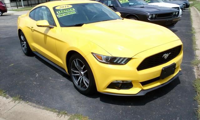 used 2016 Ford Mustang car