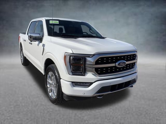 used 2023 Ford F-150 car, priced at $53,775