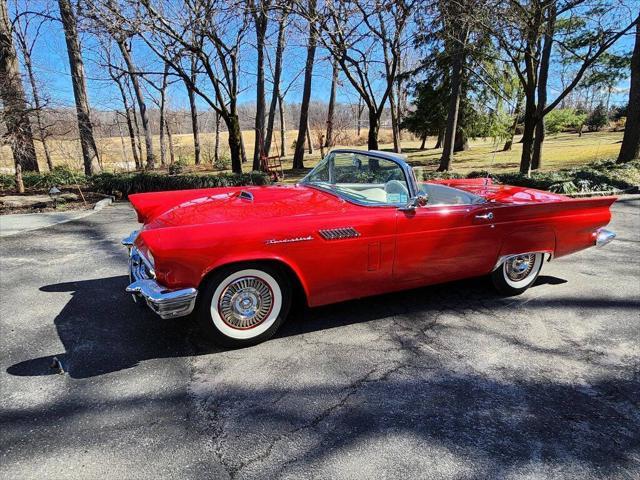 used 1957 Ford Thunderbird car