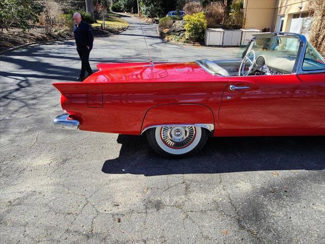 used 1957 Ford Thunderbird car