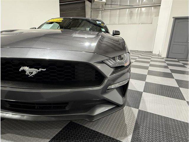 used 2023 Ford Mustang car, priced at $26,499
