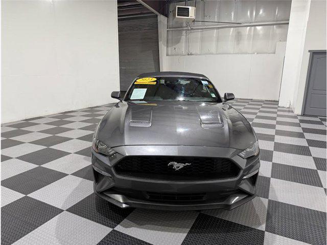 used 2023 Ford Mustang car, priced at $26,499