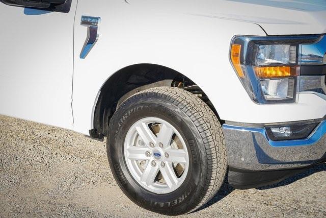 used 2023 Ford F-150 car, priced at $43,999