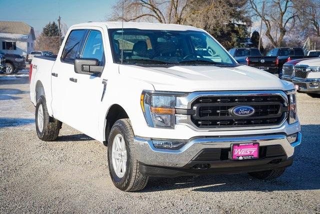 used 2023 Ford F-150 car, priced at $43,999