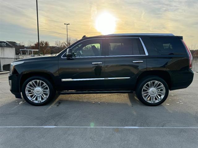 used 2017 Cadillac Escalade car, priced at $33,996