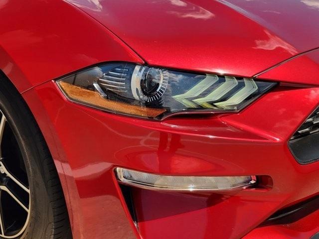 used 2021 Ford Mustang car, priced at $21,951
