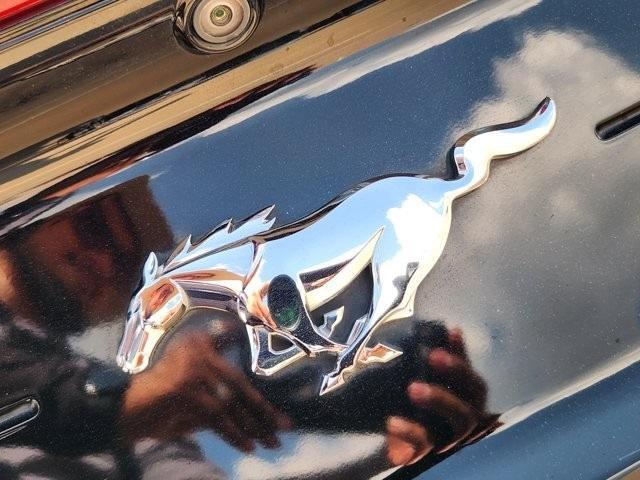 used 2021 Ford Mustang car, priced at $21,951