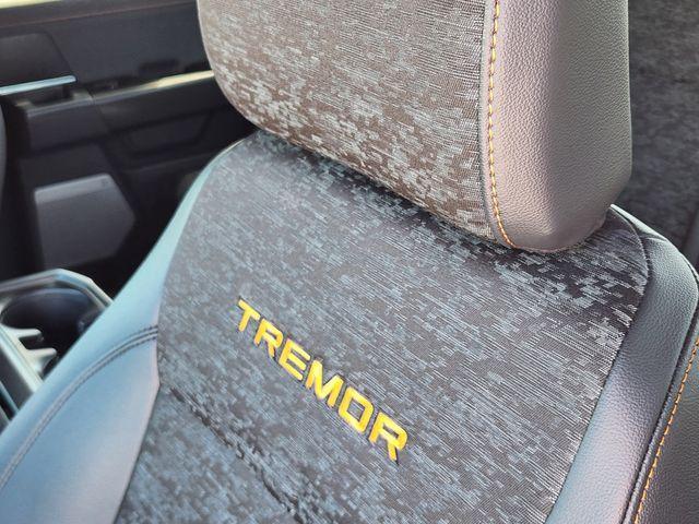 new 2025 Ford F-150 car, priced at $65,669