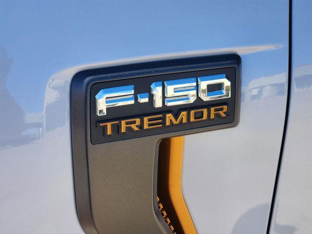 new 2025 Ford F-150 car, priced at $65,669