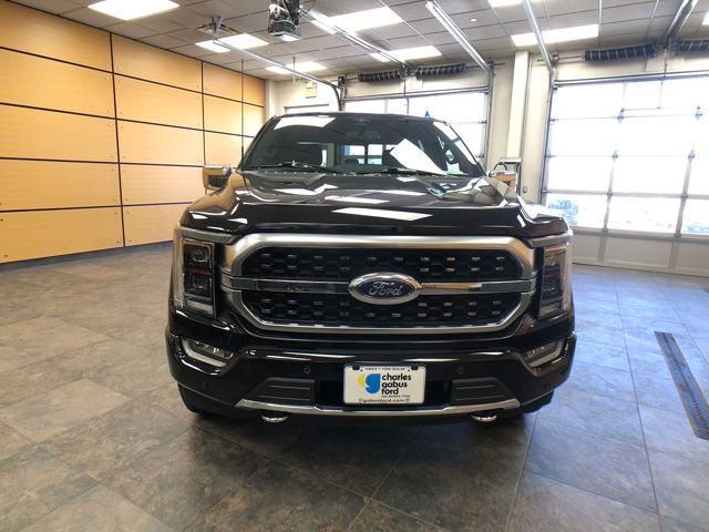 used 2023 Ford F-150 car, priced at $53,879