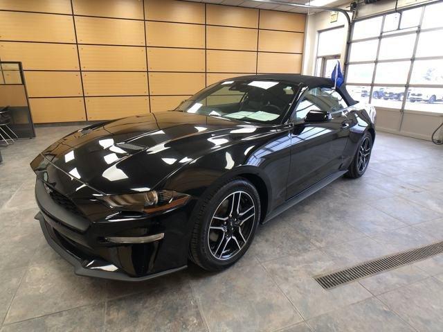 used 2022 Ford Mustang car, priced at $24,483