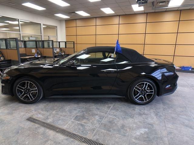 used 2022 Ford Mustang car, priced at $24,483