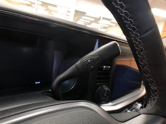 new 2025 Ford F-250 car, priced at $86,520