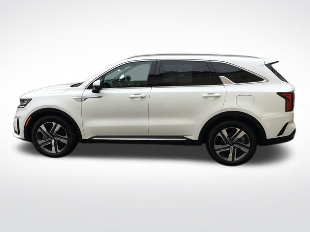 used 2023 Kia Sorento Hybrid car, priced at $33,838