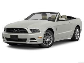 used 2014 Ford Mustang car