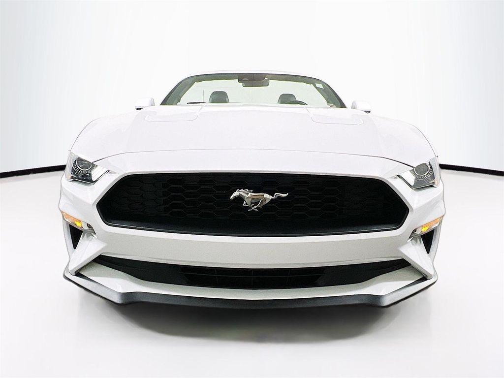 used 2021 Ford Mustang car, priced at $21,980