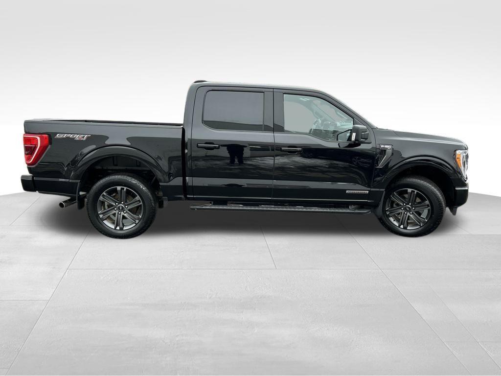 used 2023 Ford F-150 car, priced at $40,995