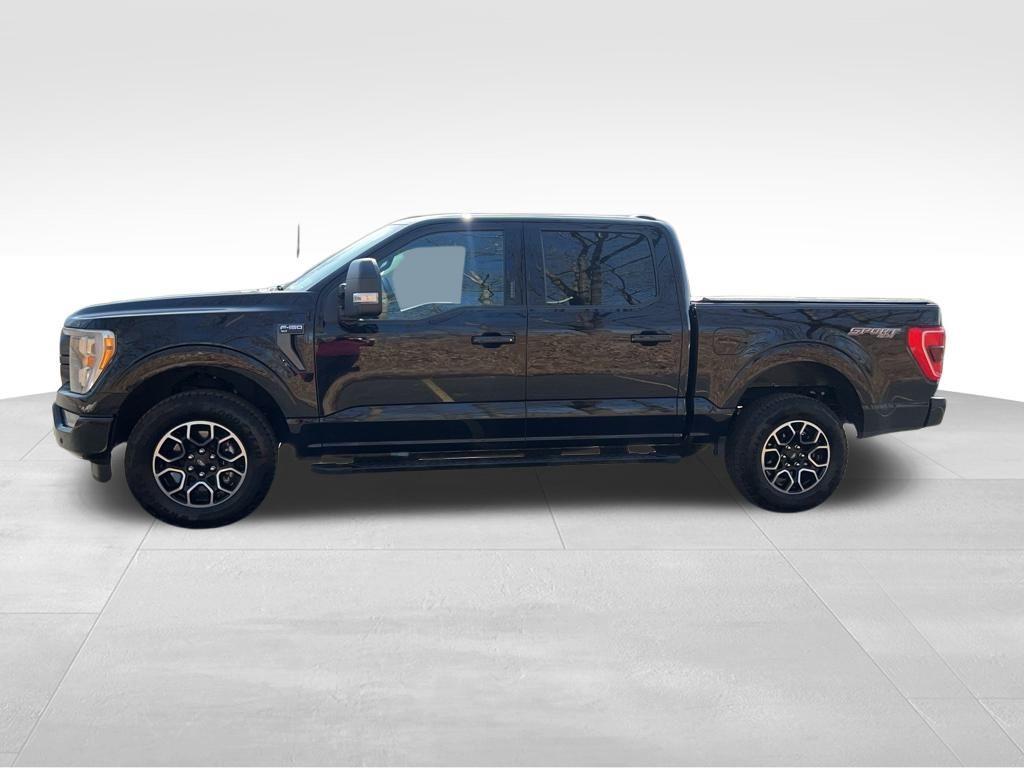 used 2023 Ford F-150 car, priced at $43,495