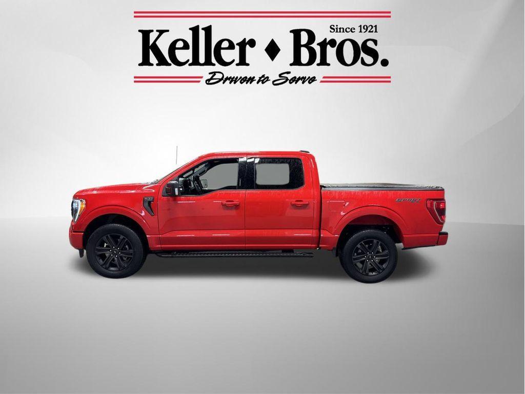 used 2021 Ford F-150 car, priced at $39,992