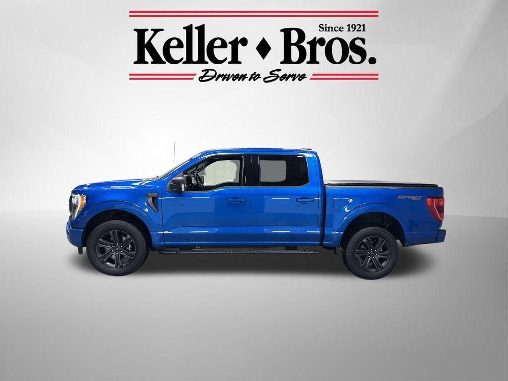 used 2021 Ford F-150 car, priced at $41,932