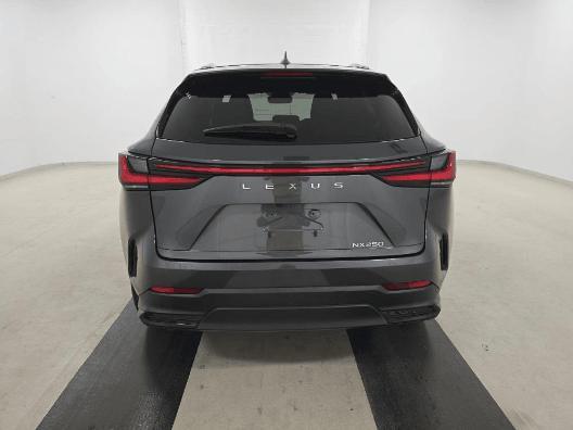 used 2024 Lexus NX 250 car, priced at $34,999