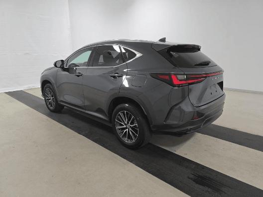 used 2024 Lexus NX 250 car, priced at $34,999