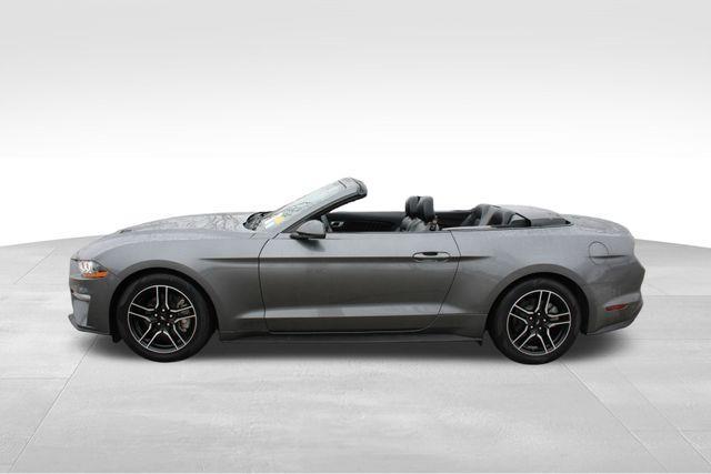 used 2021 Ford Mustang car, priced at $23,998