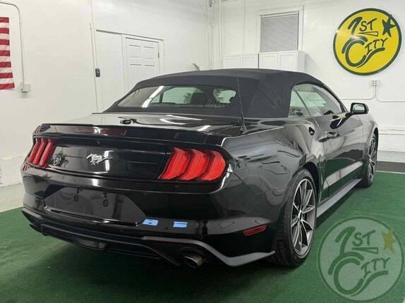 used 2019 Ford Mustang car, priced at $22,975