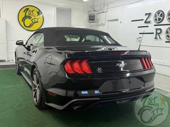 used 2019 Ford Mustang car, priced at $22,975