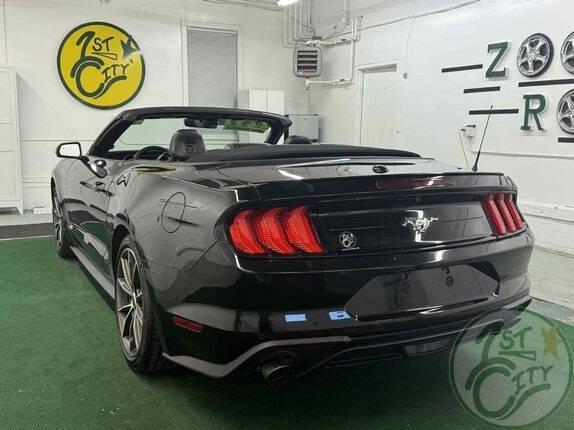 used 2019 Ford Mustang car, priced at $22,975