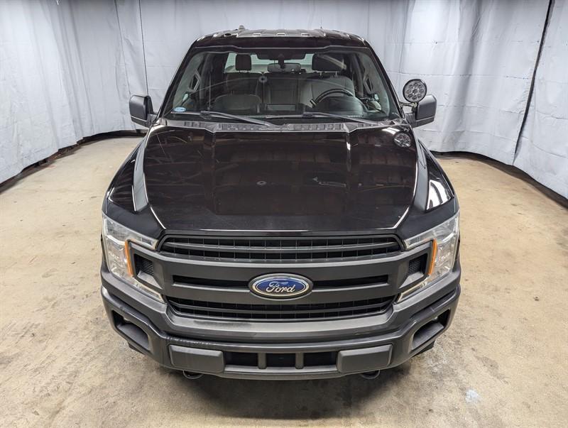 used 2019 Ford F-150 car, priced at $29,795