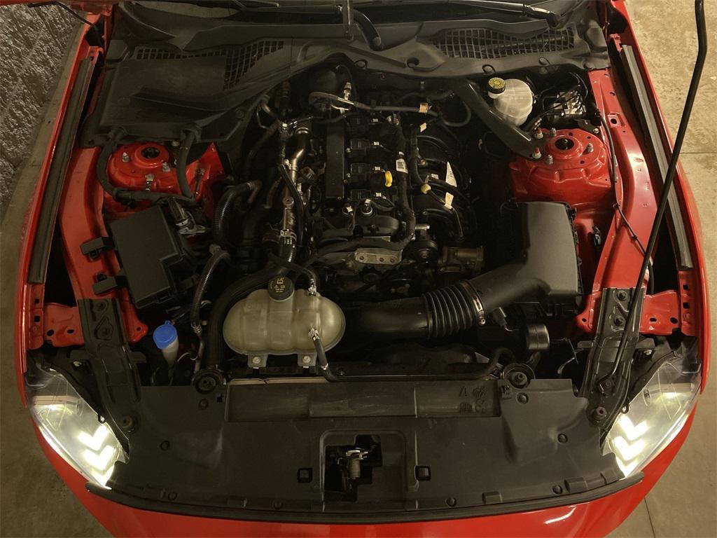 used 2023 Ford Mustang car, priced at $23,880
