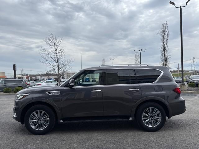 used 2024 INFINITI QX80 car, priced at $48,988