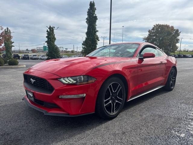 used 2019 Ford Mustang car, priced at $17,588