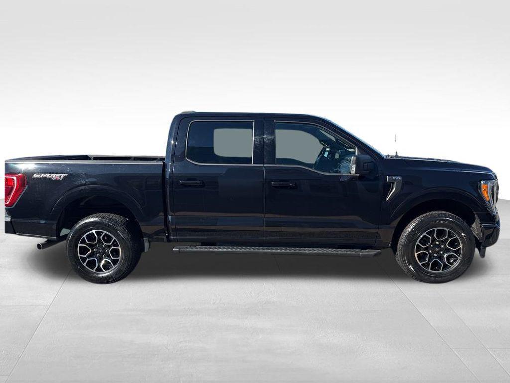 used 2023 Ford F-150 car, priced at $35,844