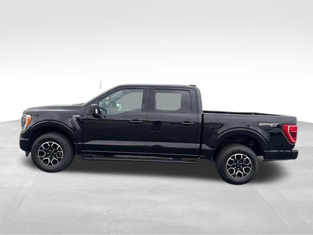 used 2023 Ford F-150 car, priced at $35,329