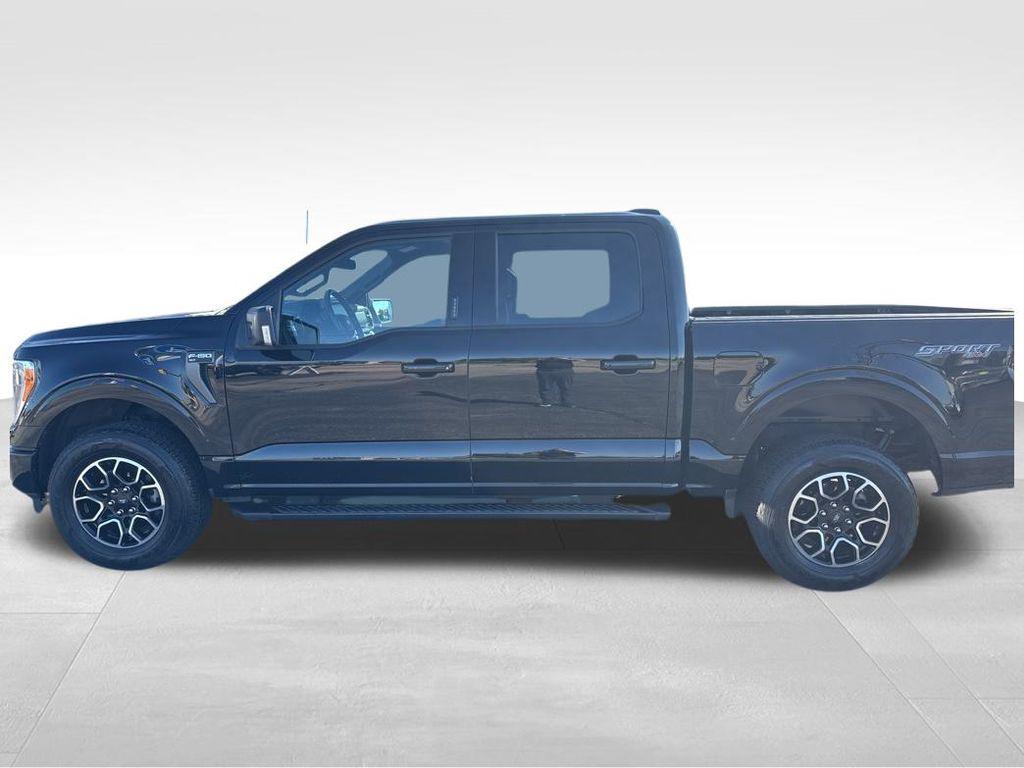 used 2023 Ford F-150 car, priced at $35,844