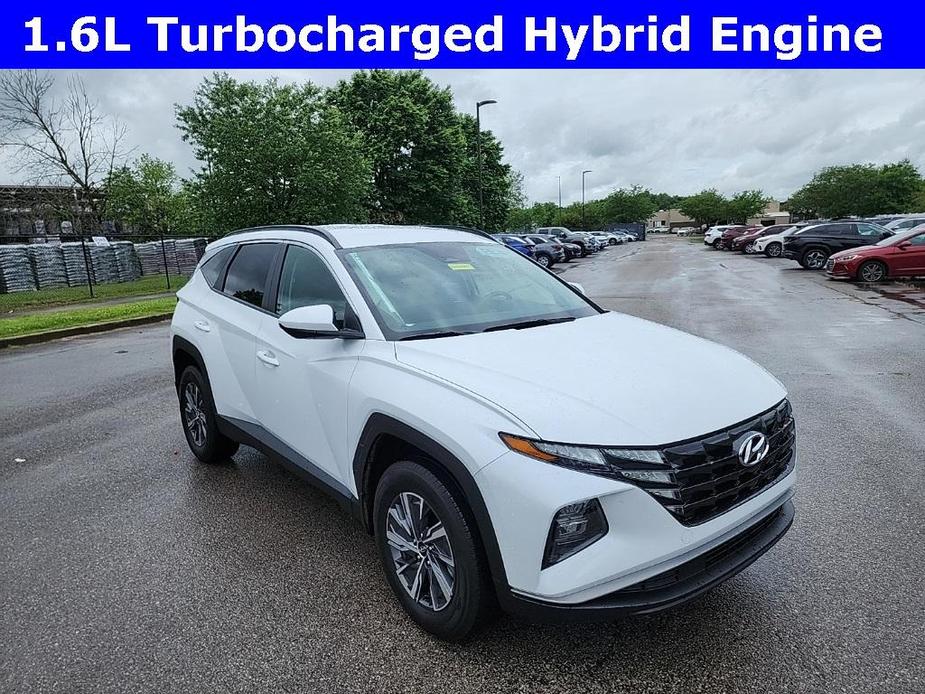 used 2024 Hyundai Tucson Hybrid car, priced at $27,000