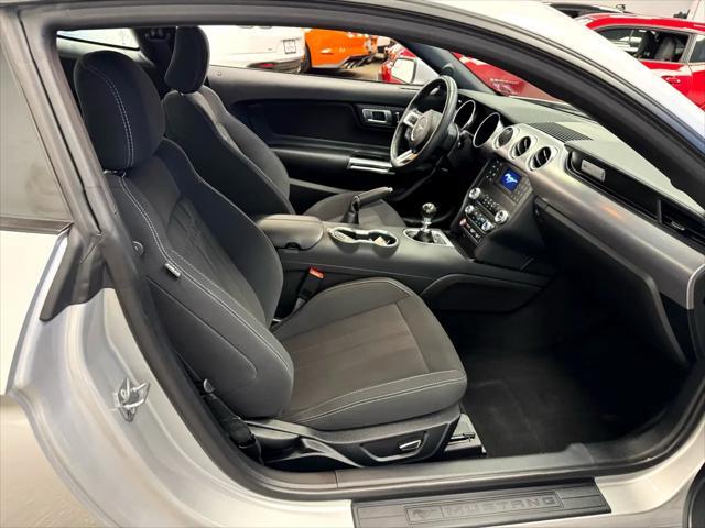 used 2019 Ford Mustang car