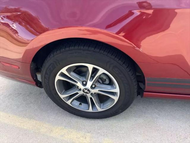 used 2014 Ford Mustang car, priced at $10,500